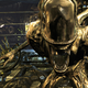 Illustration for article titled Most Reviewers Agree You Should Avoid emAliens: Colonial Marines/em Like The Plague